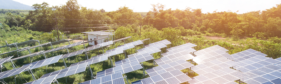 Opportunities Facilitating the Green Economy Ik006