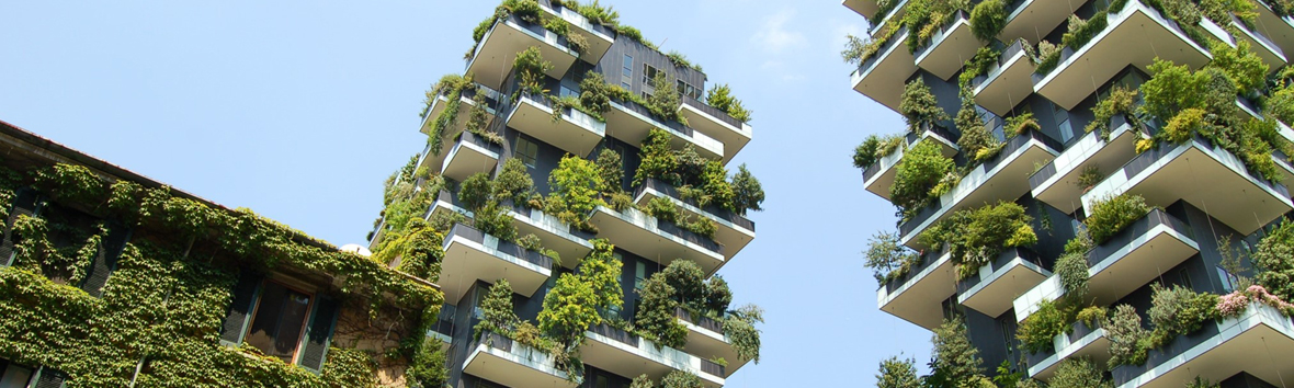 Reducing a banks direct E&S footprint Ik008