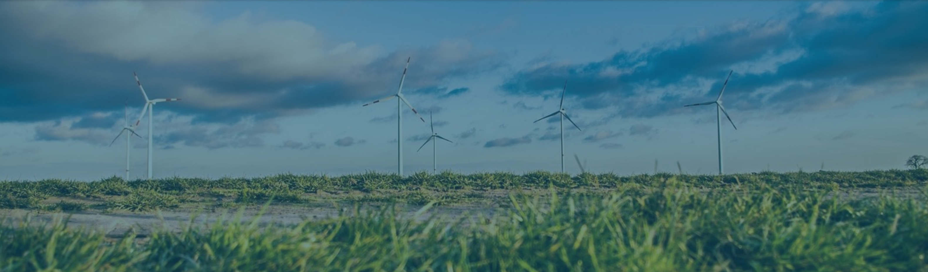 Content Preview c_p_new