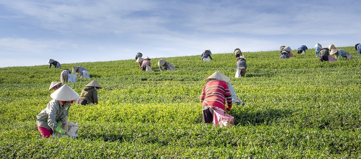 Quản Lý Rủi Ro MT & XH cho DNVN và siêu nhỏ vs_2