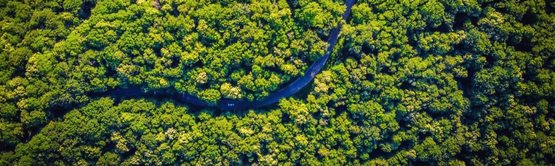 Quản Lý Đầu Tư Tại Chỗ: Xác Định Các Vấn Đề Môi Trường vs_4